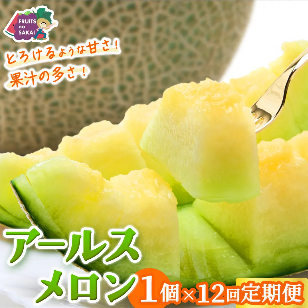 【定期便】 アールスメロン 1玉 × 12か月連続 メロン ギフト 高糖度 甘い 美味しい フルーツ 誕生日 プレゼント ギフト 贈り物 父の日 母の日 1個 [FC47-NT]