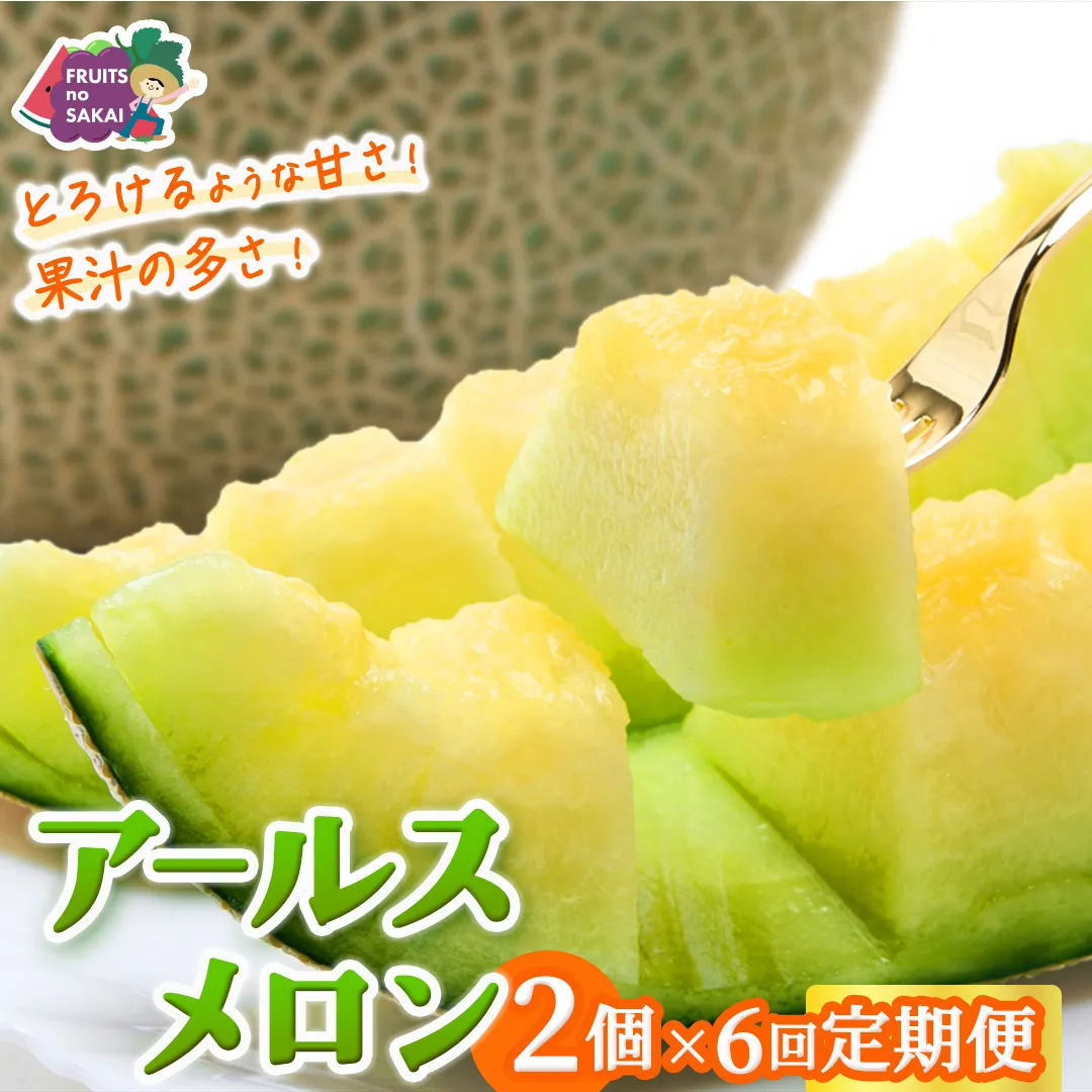 【定期便】 アールスメロン 2玉 × 6か月連続 メロン ギフト 高糖度 甘い 美味しい フルーツ 誕生日 プレゼント ギフト 贈り物 父の日 母の日 2個 [FC49-NT]