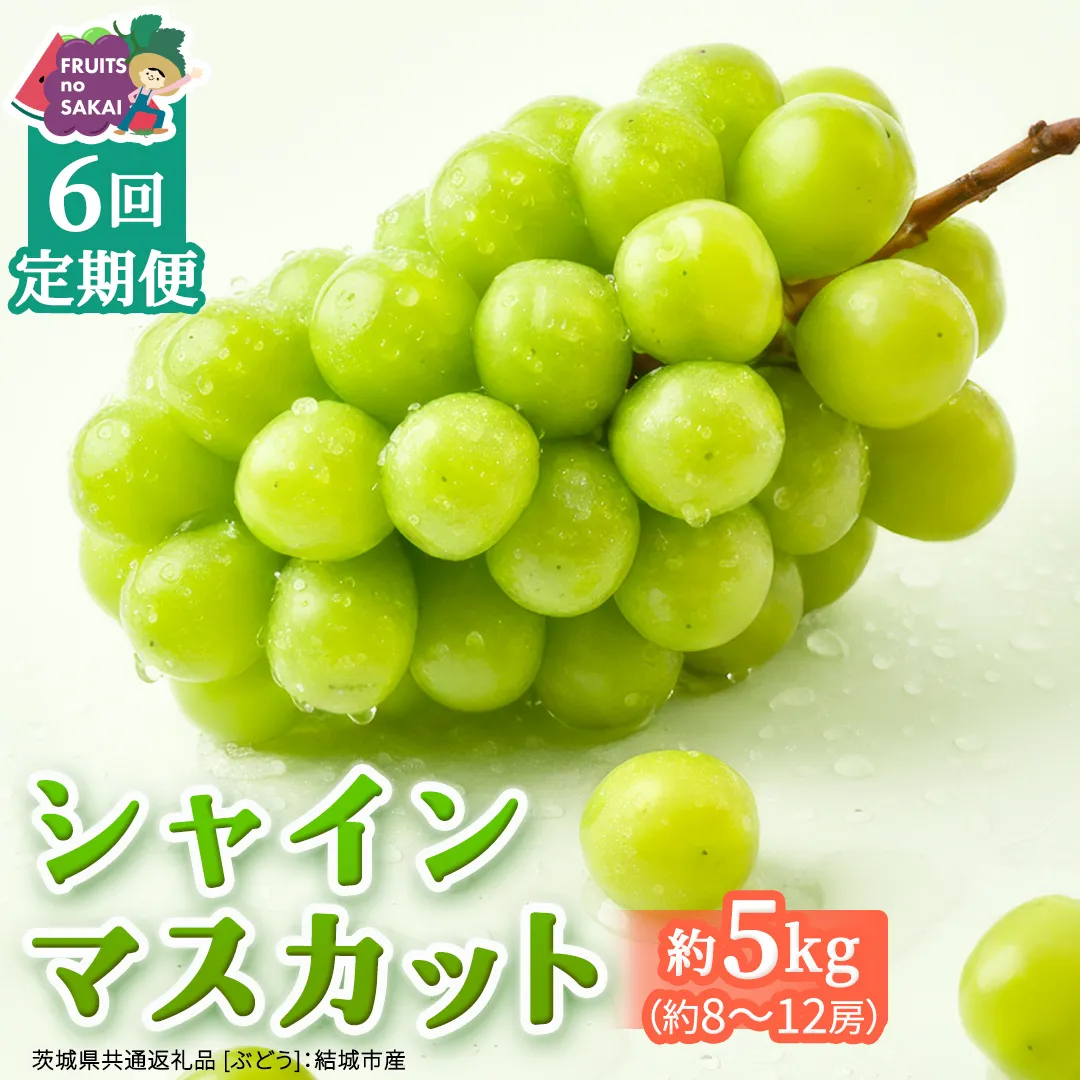 【定期便】6か月連続でお届け！ シャインマスカット 約5kg（約8～12房）【2026年8月から発送開始】（茨城県共通返礼品 [ぶどう]：結城市産） ぶどう ブドウ 葡萄 シャインマスカット 種なし 皮ごと 甘い 高級 ふるさと納税 定期便 6か月 [FC59-NT]