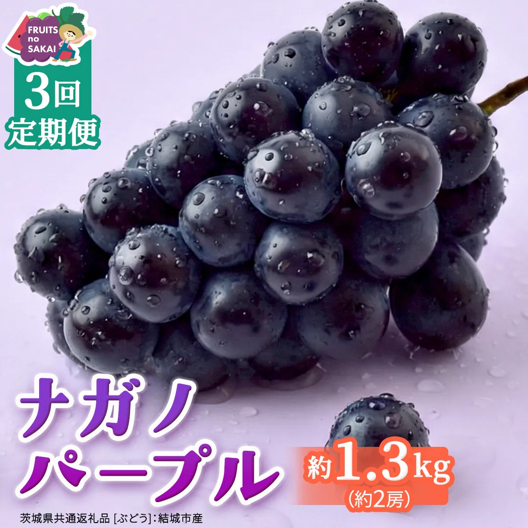 [定期便]3か月連続でお届け!ナガノパープル 約1.3kg (約2房)[2026年8月より発送開始](茨城県共通返礼品 [ぶどう]:結城市産) ぶどう ブドウ 葡萄 ナガノパープル 種なし 皮ごと 高級 国産 黒ぶどう 旬 お取り寄せ フルーツ 希少品種 デザート [FC60-NT]