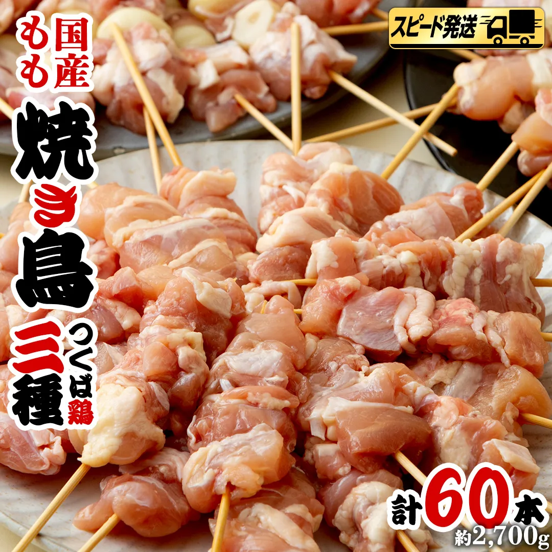 【 スピード 発送 】1本45g！合計約2700g！食べ応えバツグン、つくば鶏 焼き鳥 モモ 3種 60本 セット （各 20本 入り） 焼鳥 鶏肉 おかず おつまみ [AI11-NT]