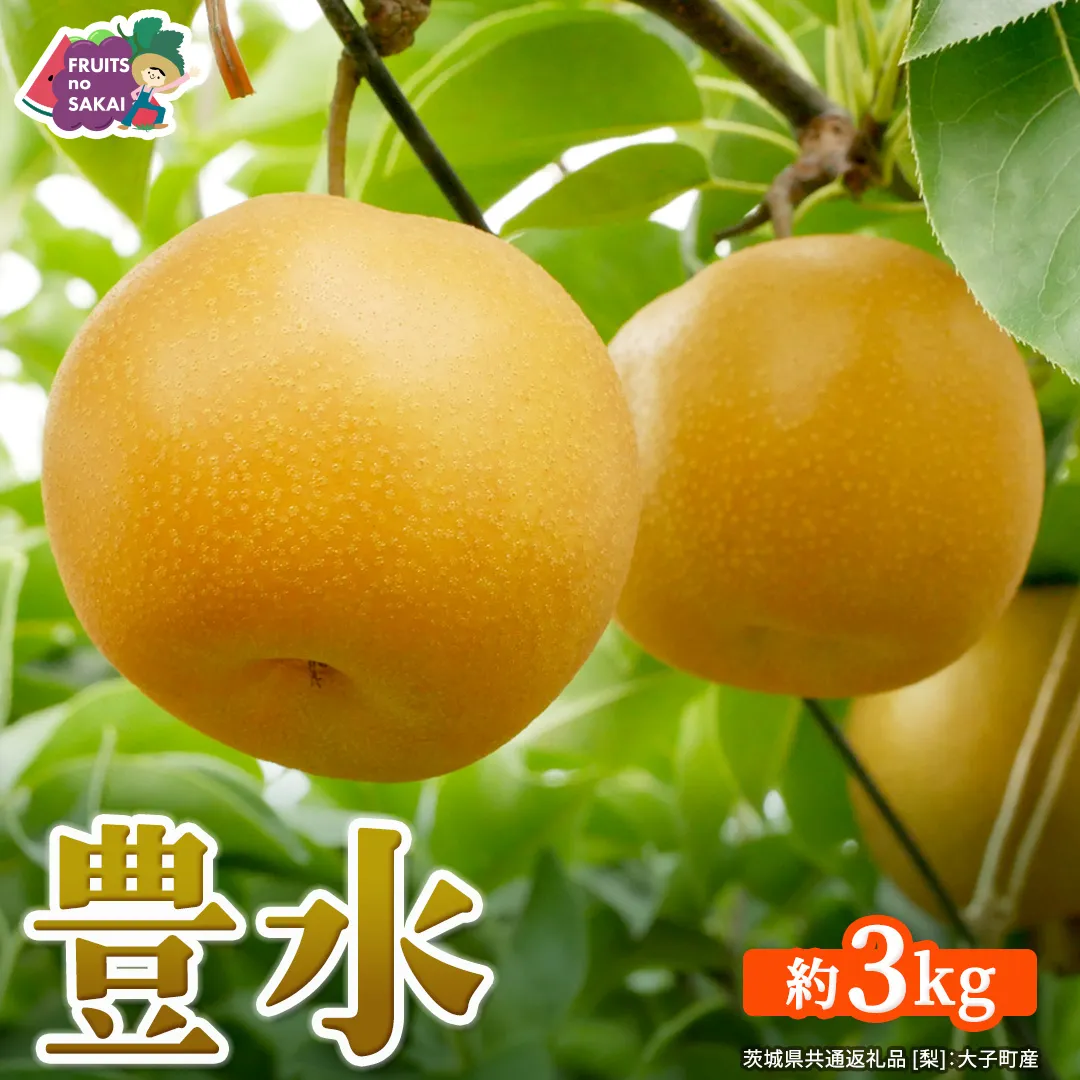 豊水 梨 約3kg 【2026年9月より発送開始】（茨城県共通返礼品 [梨]：大子町産） なし 旬 お取り寄せ フルーツ 甘い ジューシー 和梨 時期 [FC12-NT]