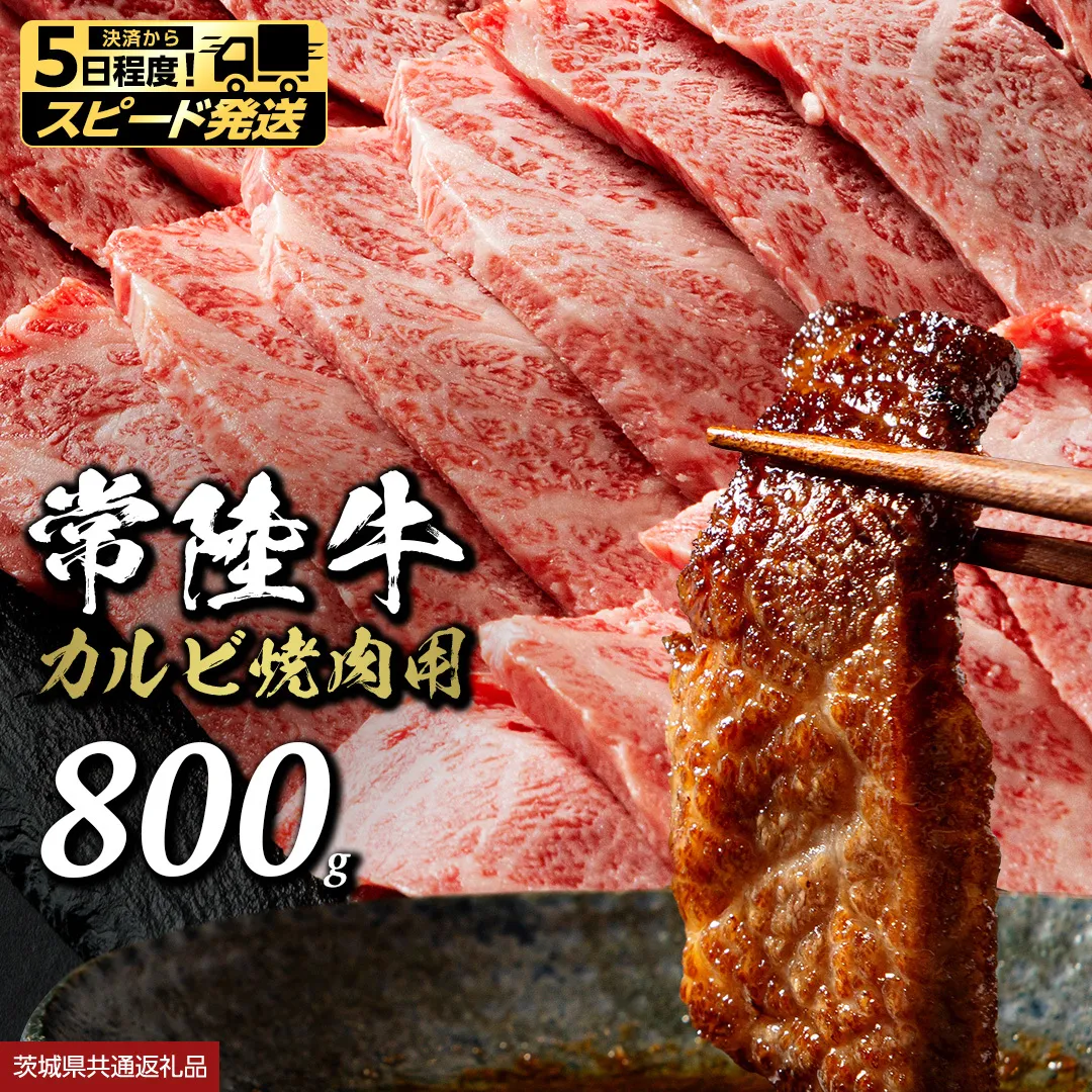 【 スピード 発送 】 常陸牛 焼肉 カルビ 800g (茨城県共通返礼品) 牛肉 牛 肉 焼き肉 焼肉用 黒毛和牛 和牛 霜降り お肉 国産 国産牛 ブランド牛 A4 A5 冷凍 バーベキュー BBQ ギフト 贈答 [BX133-NT-sp]