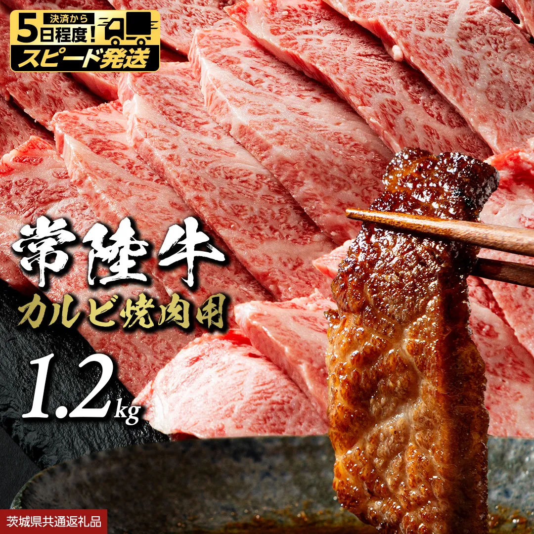  【 スピード発送 】常陸牛 焼肉用カルビ 1.2kg (茨城県共通返礼品) ひたちぎゅう カルビ焼肉 牛肉 肉 お肉 精肉 国産牛 ブランド牛 和牛 カルビ 牛カルビ 使い勝手 冷凍 焼肉 BBQ アウトドア キャンプ [BX148-NT-sp]