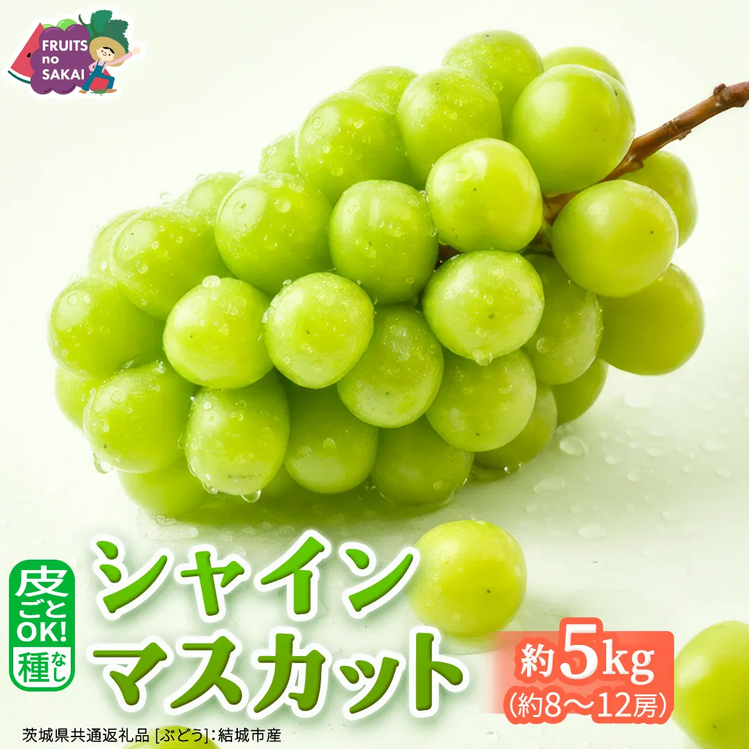 シャインマスカット 約5kg （約8～12房）【2026年9月より発送開始】（茨城県共通返礼品 [ぶどう]：結城市産） 葡萄 マスカット 旬 お取り寄せ フルーツ 種なし 皮ごと 甘い デザート [FC01-NT]