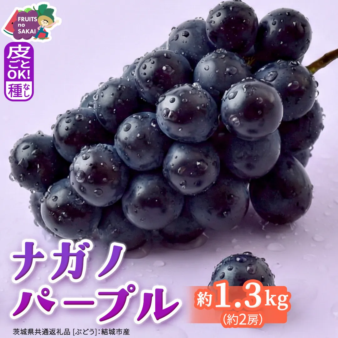 ナガノパープル 約1.3kg （約2房）【2026年8月より発送開始】（茨城県共通返礼品 [ぶどう]：結城市産） ぶどう ブドウ 葡萄 ナガノパープル 種なし 皮ごと 高級 国産 黒ぶどう 旬 お取り寄せ フルーツ 希少品種 デザート [FC21-NT]