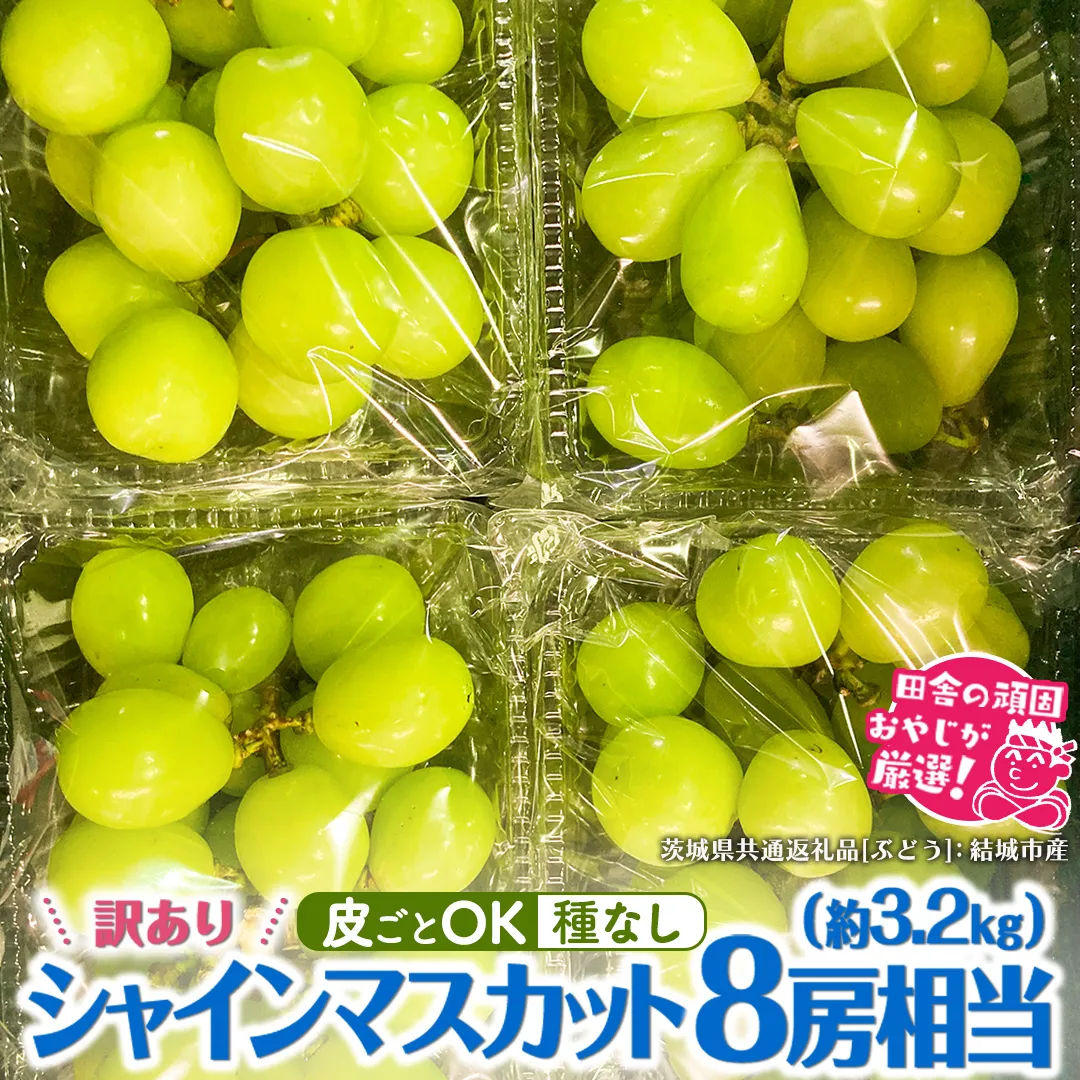 【2026年9月より発送開始】 【 訳あり 】 シャインマスカット 8房相当（約3.2kg） 田舎の頑固おやじが厳選！（茨城県共通返礼品 [ぶどう]：結城市産） 果物 フルーツ 不揃い わけあり 先行予約 家庭用 フルーツ ブドウ 果物 ぶどう シャイン マスカット くだもの 先行予約 [BI209-NT]