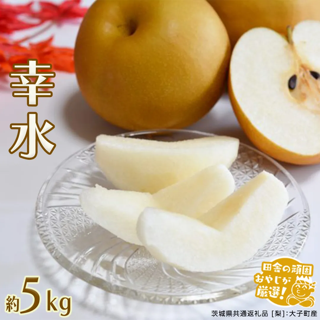 梨 幸水 約5kg 【2026年8月より発送開始】（茨城県共通返礼品 [梨]：大子町産） 田舎の頑固おやじが厳選！ 梨 幸水 高糖度 ギフト 甘い スイーツ デザート フルーツ 美味しい [BI297-NT]