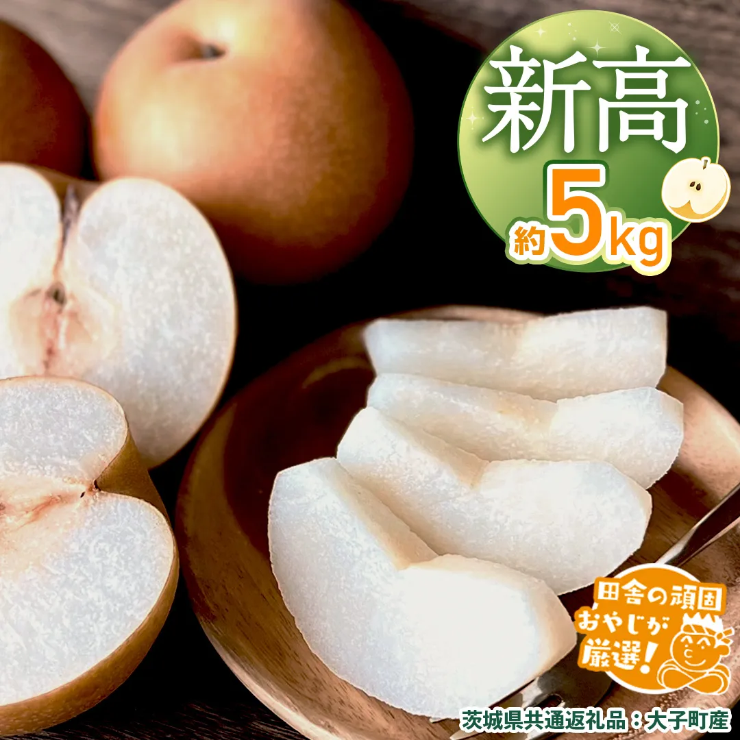 梨 新高 約5kg 【2026年10月より発送開始】（茨城県共通返礼品 [梨]：大子町産）田舎の頑固おやじが厳選！ なし 新高梨 和梨 フルーツ 果物 くだもの 高糖度 ギフト 茨城 [BI306-NT]