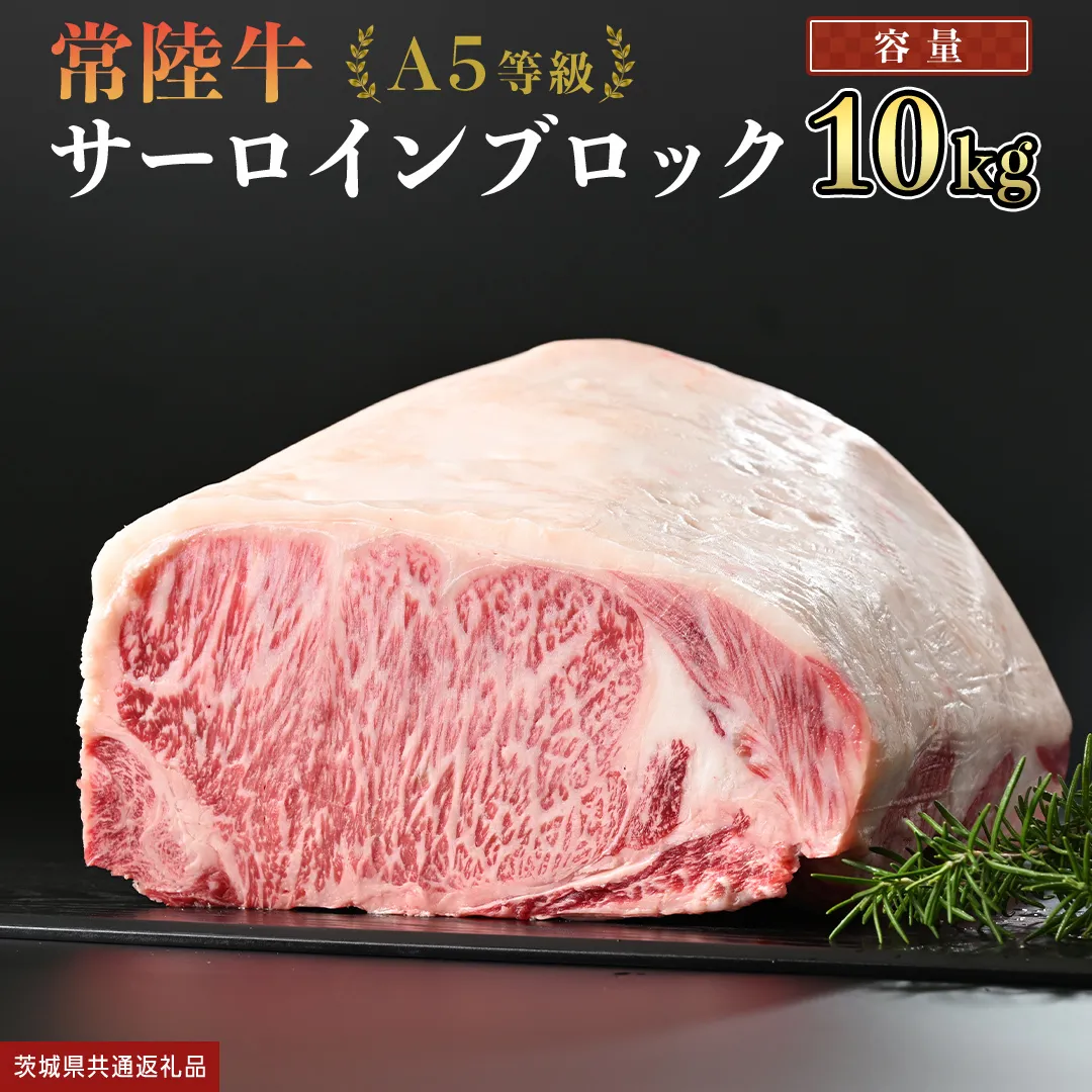 【 常陸牛 】 A5等級 サーロイン ブロック 10kg  (茨城県共通返礼品)  国産 ステーキ 焼き肉 ブロック肉 牛肉 やきにく ヒタチギュウ ひたちぎゅう ブランド牛肉 ブランド牛 国産牛 黒毛和牛 和牛 国産黒毛和牛 お肉 A5ランク [BX125-NT]