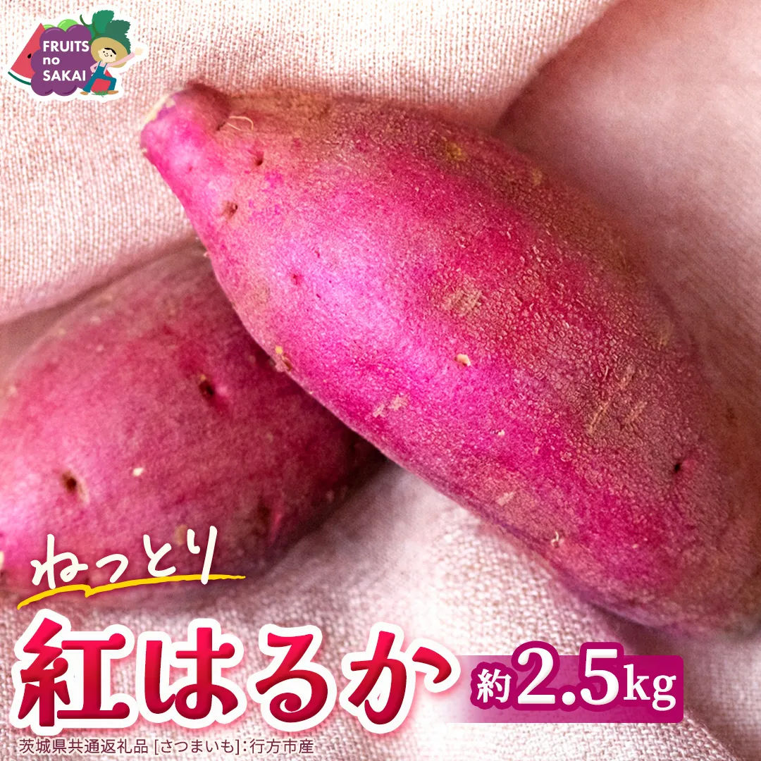 紅はるか 約 2.5kg （茨城県共通返礼品 [さつまいも]：行方市産） べにはるか さつまいも 生芋 芋 サツマイモ 甘い 焼き芋 スイートポテト ねっとり 茨城県産 お取り寄せ 野菜 根菜 いも [FC83-NT]