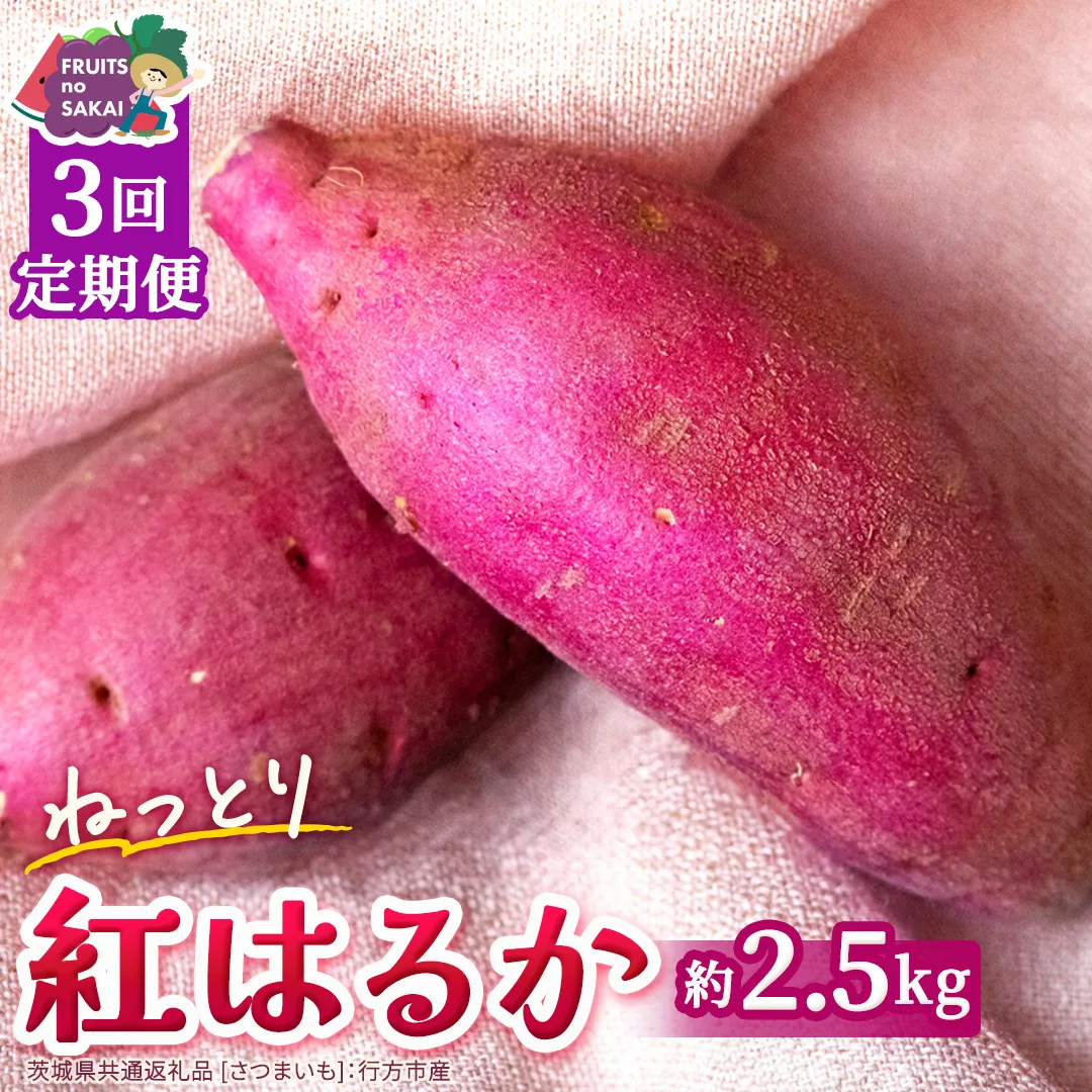 紅はるか 約 2.5kg （3回 定期便 ）（茨城県共通返礼品 [さつまいも]：行方市産） べにはるか 3か月定期便 定期便 べにはるか さつまいも 生芋 芋 サツマイモ 甘い 焼き芋 スイートポテト ねっとり 茨城県産 お取り寄せ 野菜 根菜 いも [FC84-NT]
