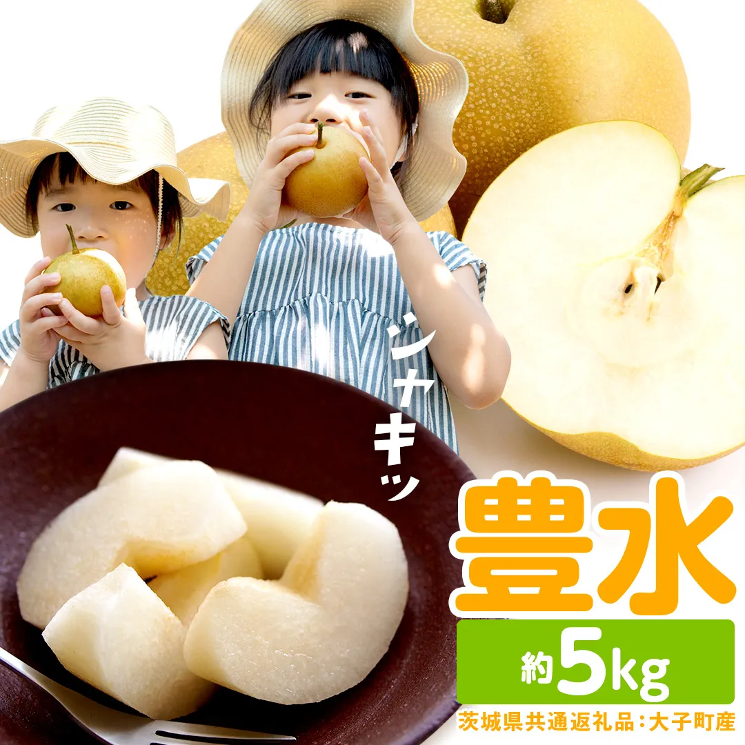 梨 豊水 約5kg 【2026年9月より発送開始】（茨城県共通返礼品 [梨]：大子町産）田舎の頑固おやじが厳選！ なし 豊水梨 果物 くだもの フルーツ 旬 高糖度 ギフト 美味しい 甘い デザート [BI304-NT]