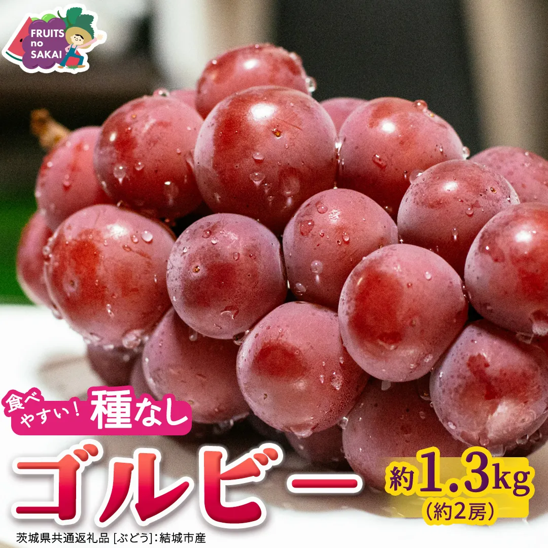 ゴルビー 約1.3kg(約2房)【2026年9月より発送開始】（茨城県共通返礼品 [ぶどう]：結城市産） ぶどう 赤ぶどう 高級 希少品種 大粒 甘い 果物 フルーツ 旬 [FC114-NT]