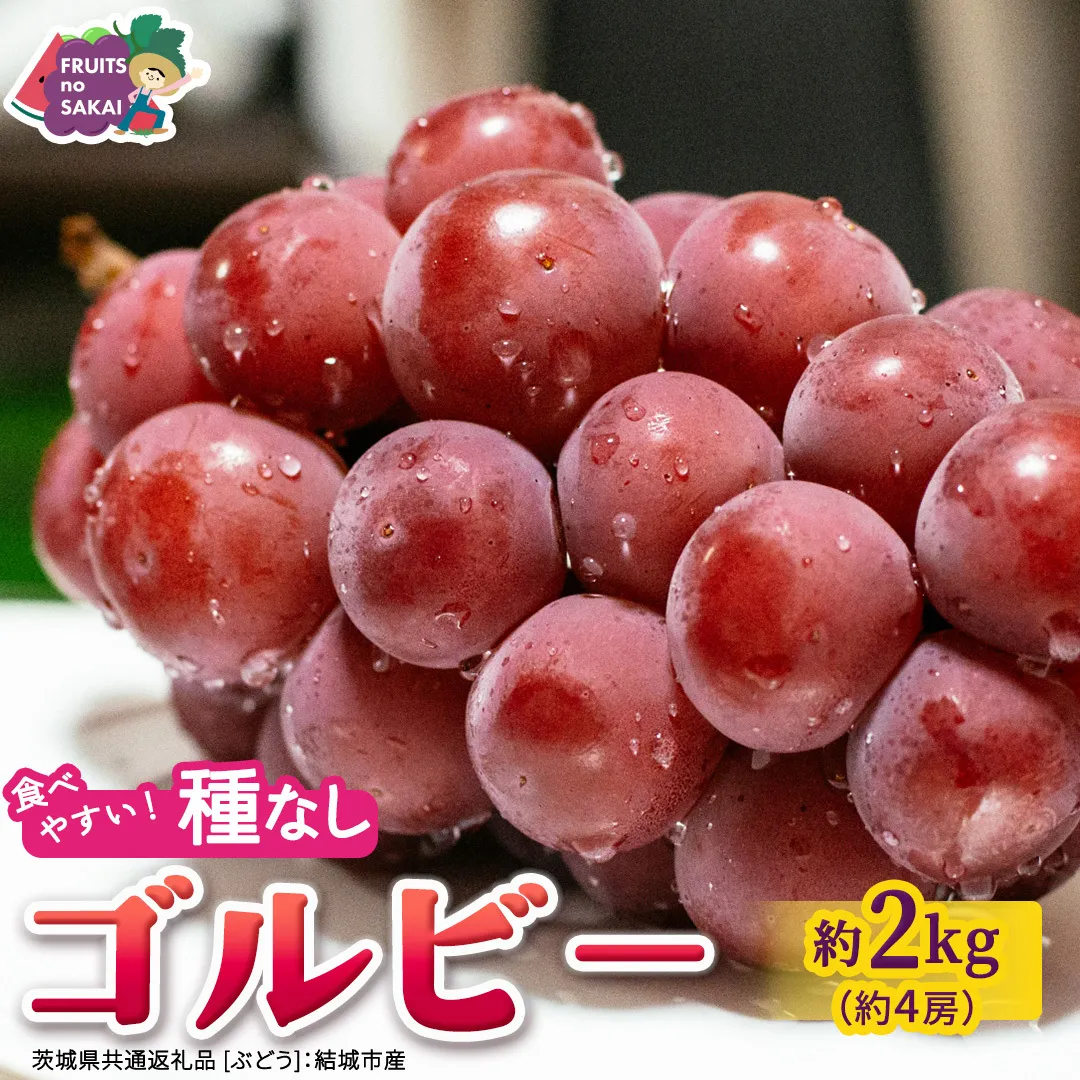 ゴルビー 約2kg(約4房)【2026年9月より発送開始】（茨城県共通返礼品 [ぶどう]：結城市産） ぶどう 赤ぶどう 高級 希少品種 大粒 甘い 果物 フルーツ 旬 [FC115-NT]