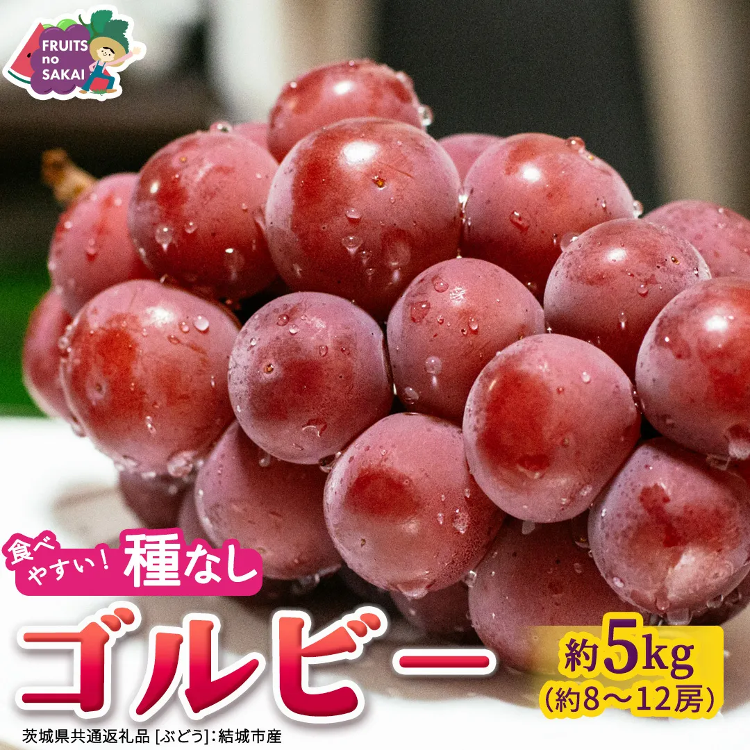 ゴルビー 約5kg(約8～12房)【2026年9月より発送開始】（茨城県共通返礼品 [ぶどう]：結城市産） ぶどう 赤ぶどう 高級 希少品種 大粒 甘い 果物 フルーツ 旬 [FC116-NT]