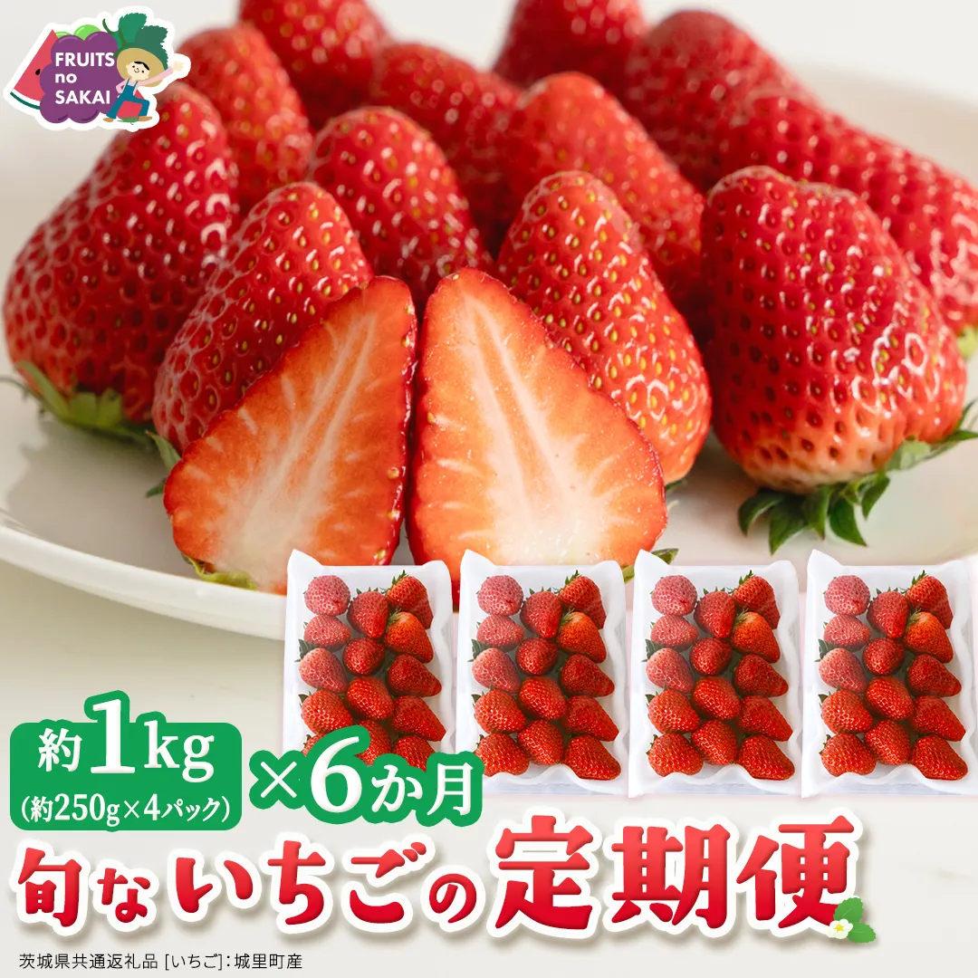 【定期便】旬ないちご品種おまかせ6ヶ月連続お届け便 （約250g×4パック）×6回【2026年12月から発送開始】（茨城県共通返礼品 [いちご]：城里町産） 果物 くだもの フルーツ イチゴ 苺 旬 品種おまかせ 人気 [FC105-NT]