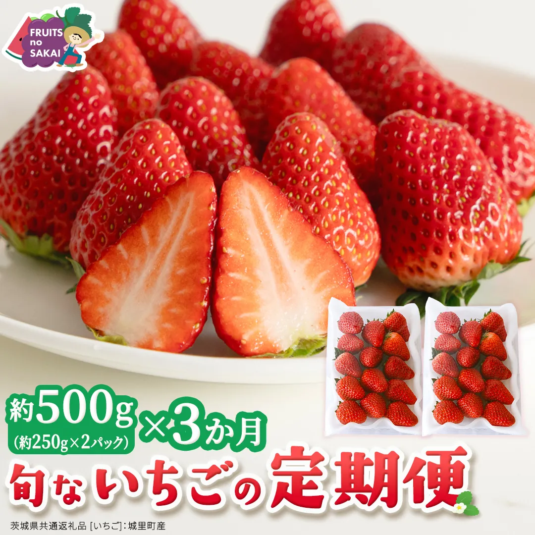 【定期便】旬ないちご品種おまかせ3ヶ月連続お届け便 （約250g×2パック）×3回【2027年1月から発送開始】（茨城県共通返礼品 [いちご]：城里町産） 果物 くだもの フルーツ イチゴ 苺 旬 品種おまかせ 人気 [FC106-NT]
