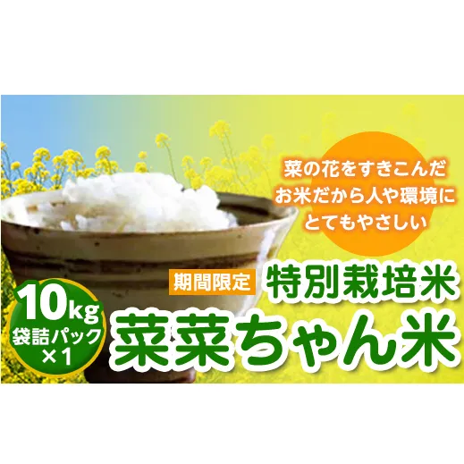 【令和２年産】特別栽培米　菜菜ちゃん米　10ｋｇ [H004-NT]