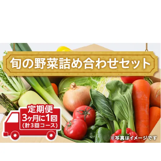 田舎の頑固おやじ厳選！【定期便】旬の野菜詰め合わせセット3ヶ月に1回(計3回コース) [BI02-NT]