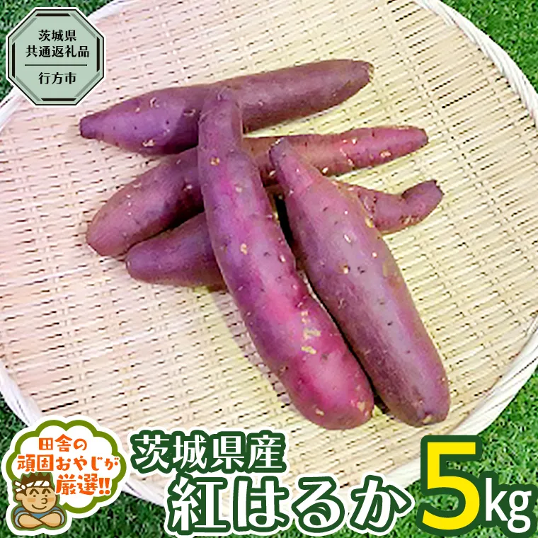 べにはるか 5kg 【2024年10月から発送開始】（茨城県共通返礼品 [さつまいも]：行方市産） さつまいも 紅はるか 芋 いも 野菜[BI07-NT]
