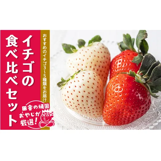 田舎の頑固おやじが厳選！イチゴの食べ比べセット【令和3年2月から順次お届け】 [BI32-NT]