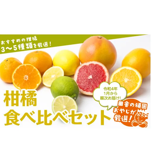 田舎の頑固おやじが厳選！柑橘はこれだっぺセット【令和4年1月から順次お届け】 [BI41-NT]
