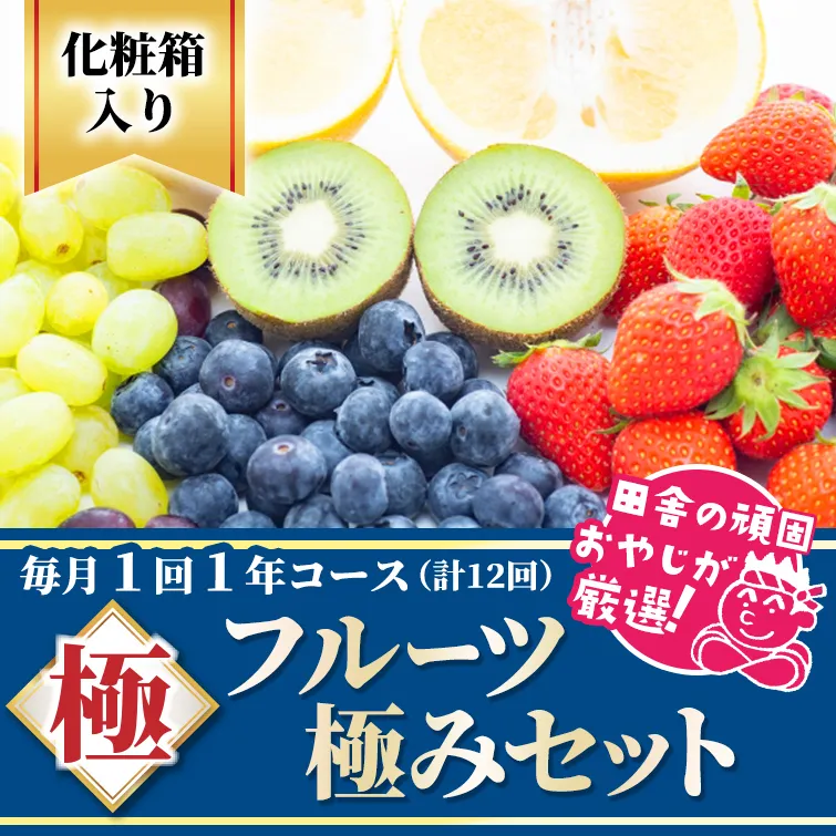 田舎の頑固おやじが厳選！フルーツ極み定期便セット【毎月1回1年コース(計12回)】［化粧箱入り］ [BI65-NT]