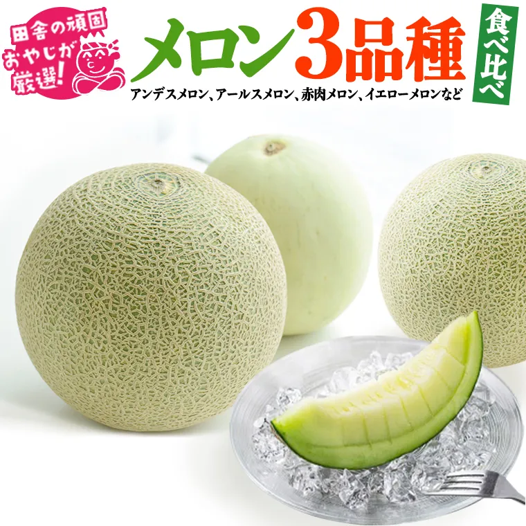 メロン 食べ比べ セット【7月発送開始】田舎の頑固おやじが厳選！ [BI83-NT]