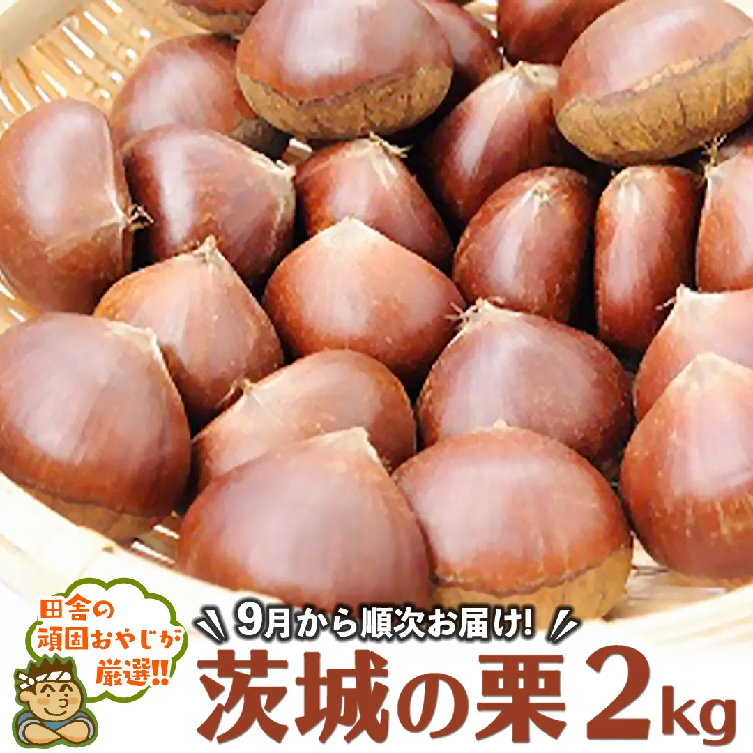 茨城の栗2kg【9月より発送開始】田舎の頑固おやじが厳選！ [BI95-NT]