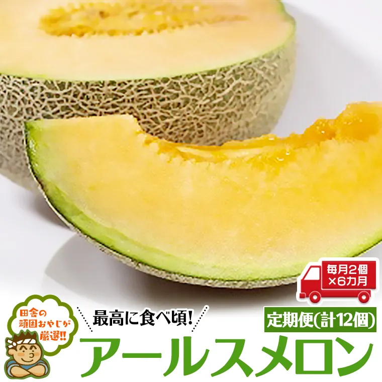 【定期便】 アールスメロン 毎月2個 × 6か月 （計12個） 田舎の頑固おやじが厳選！ [BI93-NT]
