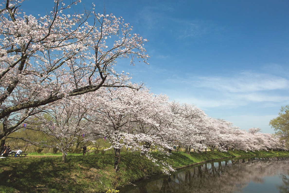 茨城県つくばみらい市