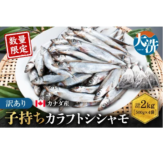 【数量限定！】 子持ち カラフトシシャモ ２kg (500g×4袋) 訳アリ シシャモ ししゃも カラフトししゃも 大洗 規格外 訳あり わけあり 傷