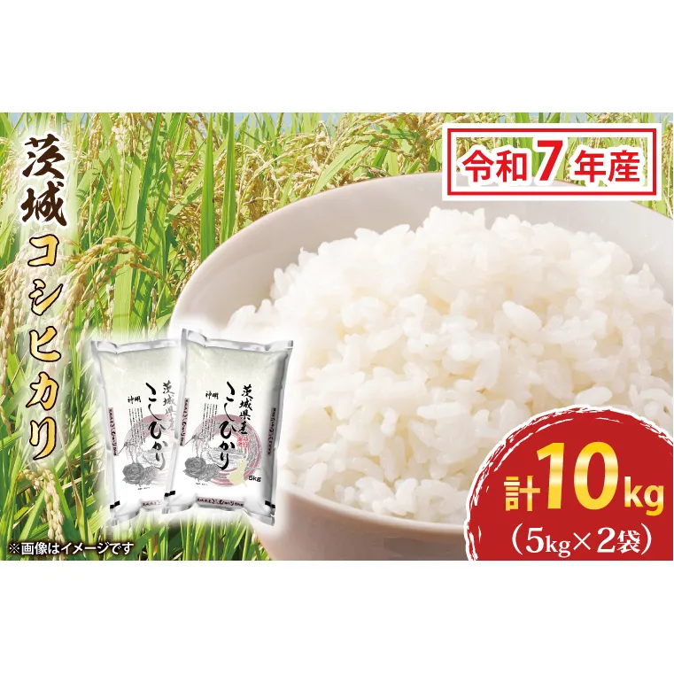 令和7年産 茨城 コシヒカリ 10kg (5kg×２袋) 新米 米 お米 おこめ 白米 ライス ご飯 精米 こしひかり 国産 茨城県産
