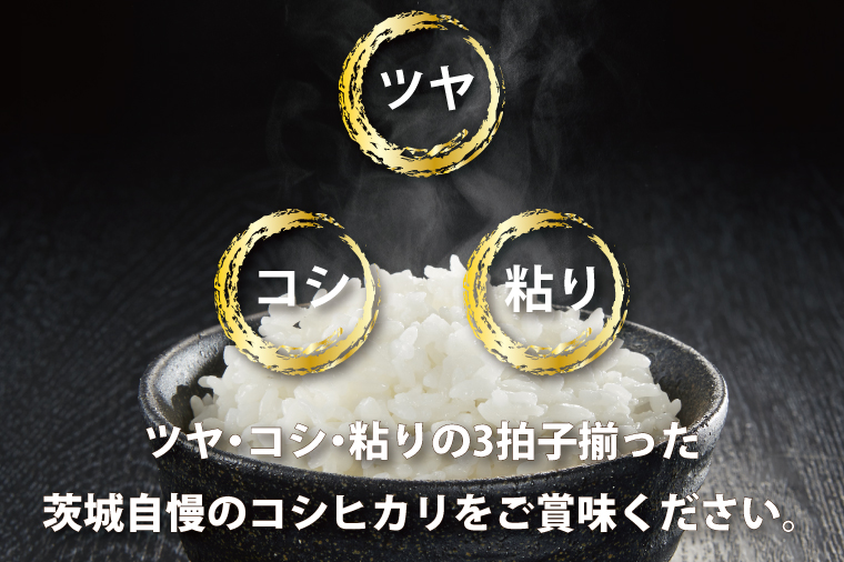 新米 令和6年 茨城県産コシヒカリ玄米10kg