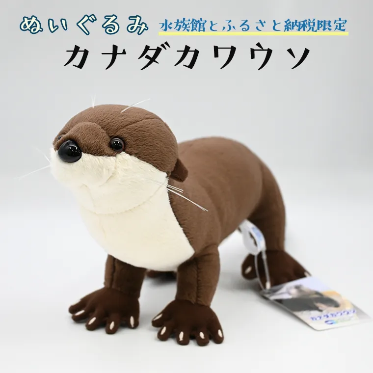 カワウソ ぬいぐるみ a賞 ナガノのカワウソ カワウソくじA賞 特大ぬいぐるみ｜Yahoo