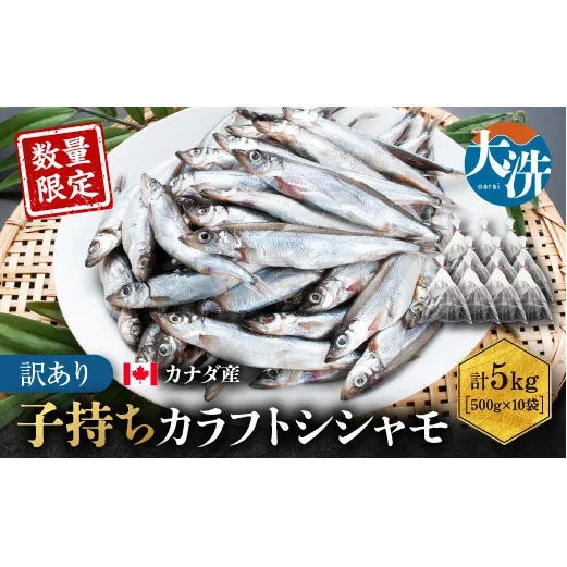 【数量限定】 子持ち カラフトシシャモ 5kg （500g ×10袋） 訳あり シシャモ カラフトししゃも 大洗 規格外 訳アリ わけあり 傷