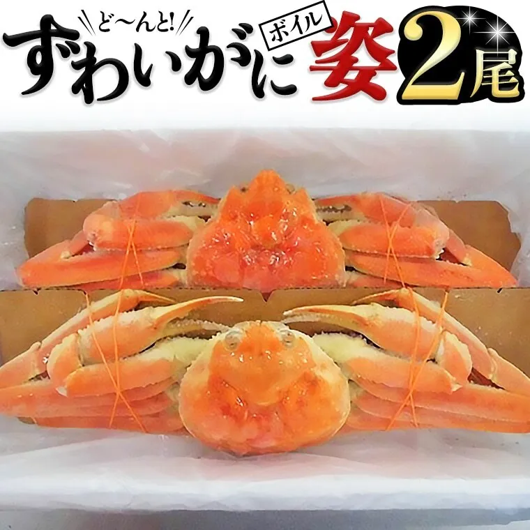 ボイルずわい蟹 姿 800g×2尾 カニ かに 蟹 特大 ズワイガニ 1.6kg ずわいガニ 1600g