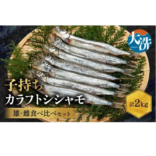 ししゃも雄雌食べ比べ 2ｋｇ セット 訳アリ シシャモ ししゃも カラフトししゃも 大洗 規格外 訳あり わけあり 傷