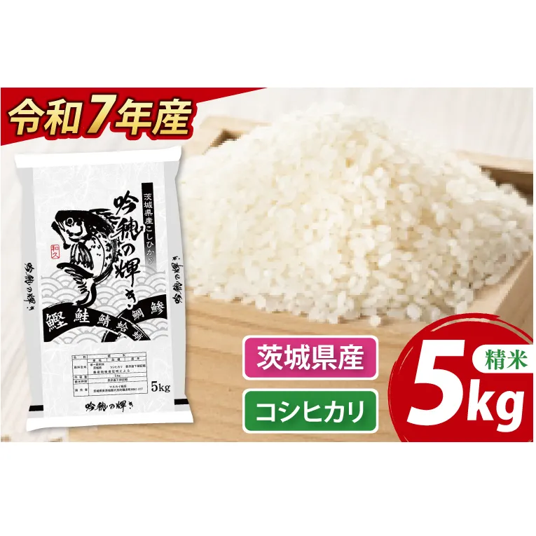 【先行予約 2025年9月より順次発送】 ＜令和７年産＞ 新米 コシヒカリ 5kg 精米 こしひかり 米 ごはん コメ お米 白米 国産 茨城県産