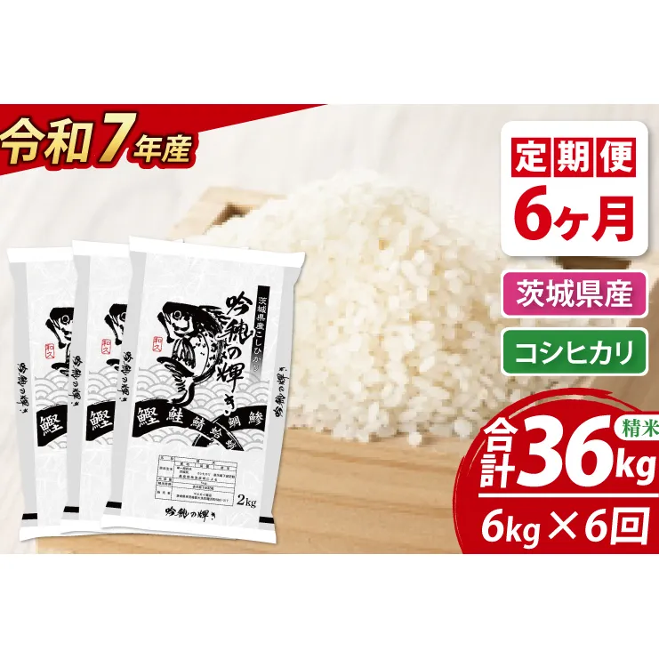 【6ヵ月定期便】 ＜令和７年産＞ 新米 コシヒカリ 6kg × 6ヵ月 精米 こしひかり 米 ごはん コメ お米 白米 国産 茨城県産