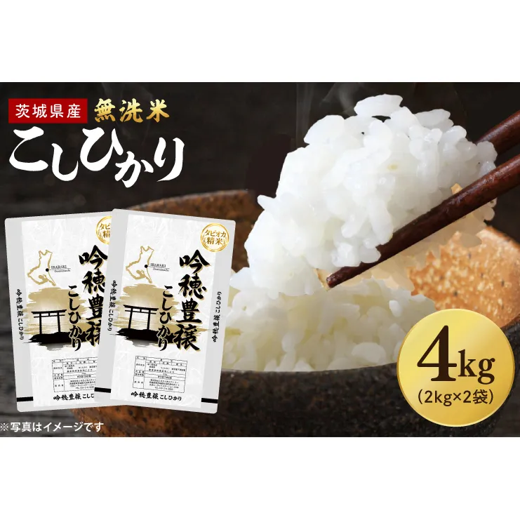 【選べる内容量】 ＜令和7年産＞ 無洗米 こしひかり 4kg タピオカ精米 コシヒカリ こしひかり 米 ごはん コメ お米 白米 精米 精米済み 国産 茨城県産