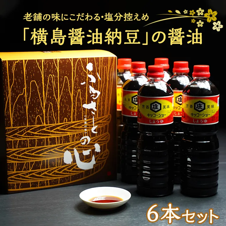 老舗の味にこだわる「横島醤油納豆」の醤油　６本セット　[AO012ya]