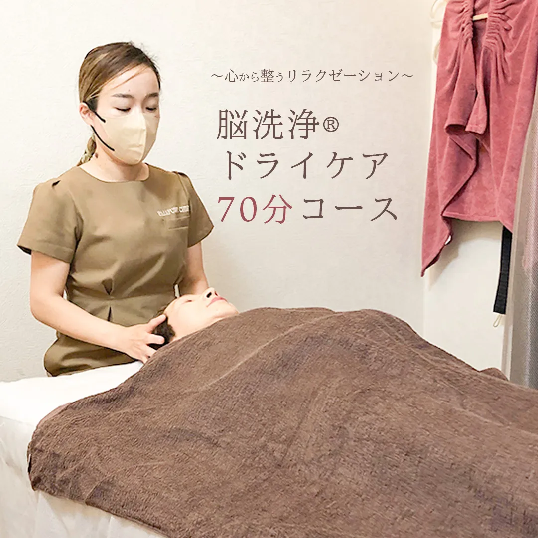 Reset Lounge 脳洗浄(登録商標)︎ドライケア70分 脳洗浄 体験 利用券 チケット 美容 癒し マッサージ [CP002ya]