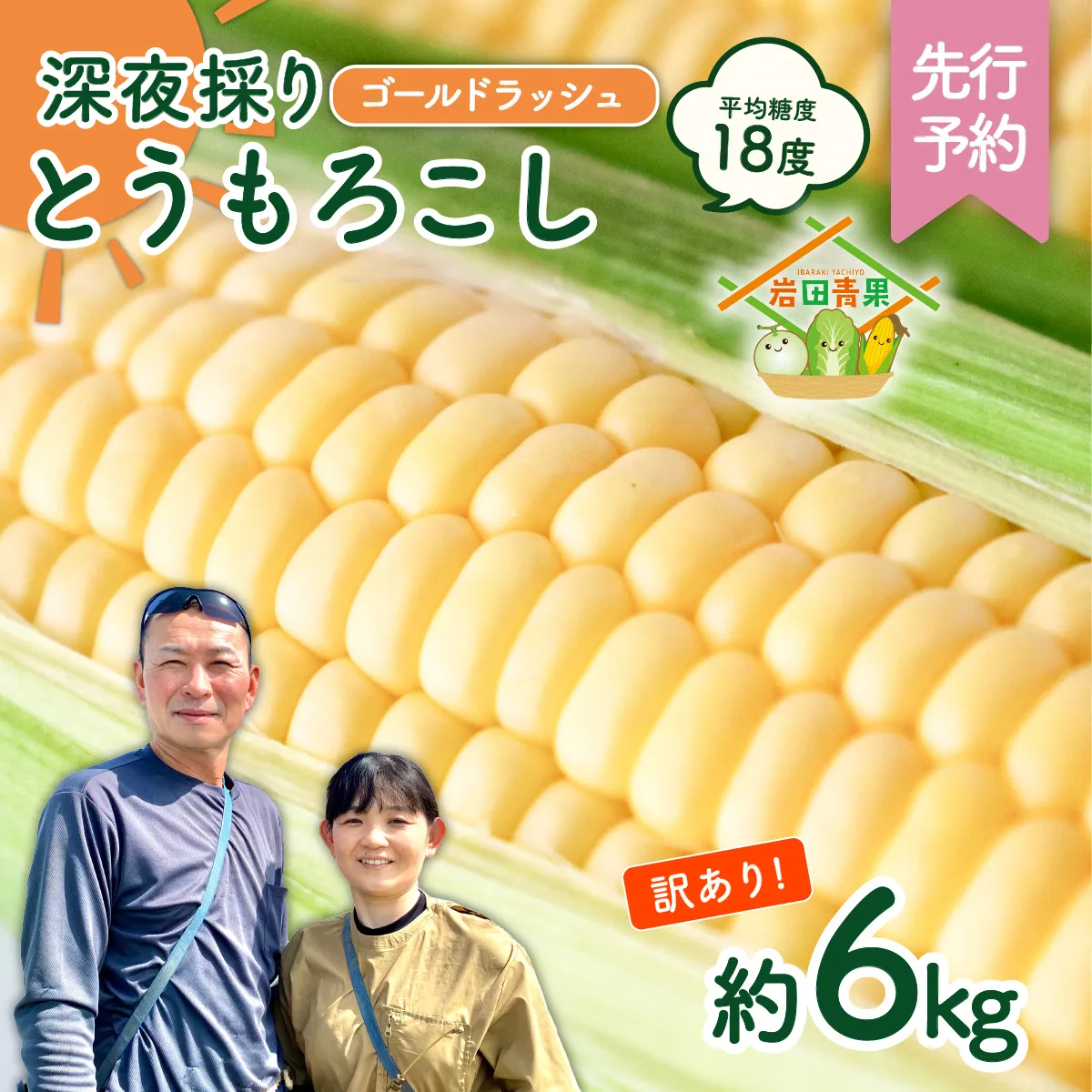 [先行予約 2026年6月中旬以降発送 ] [ 令和8年産 ] [ 訳あり ] 深夜採り 朝出荷 とうもろこし ( ゴールドラッシュ ) 約 6kg トウモロコシ スイートコーン コーン 野菜 産地直送 期間限定 岩田さん 昼めし旅 [AX021ya]