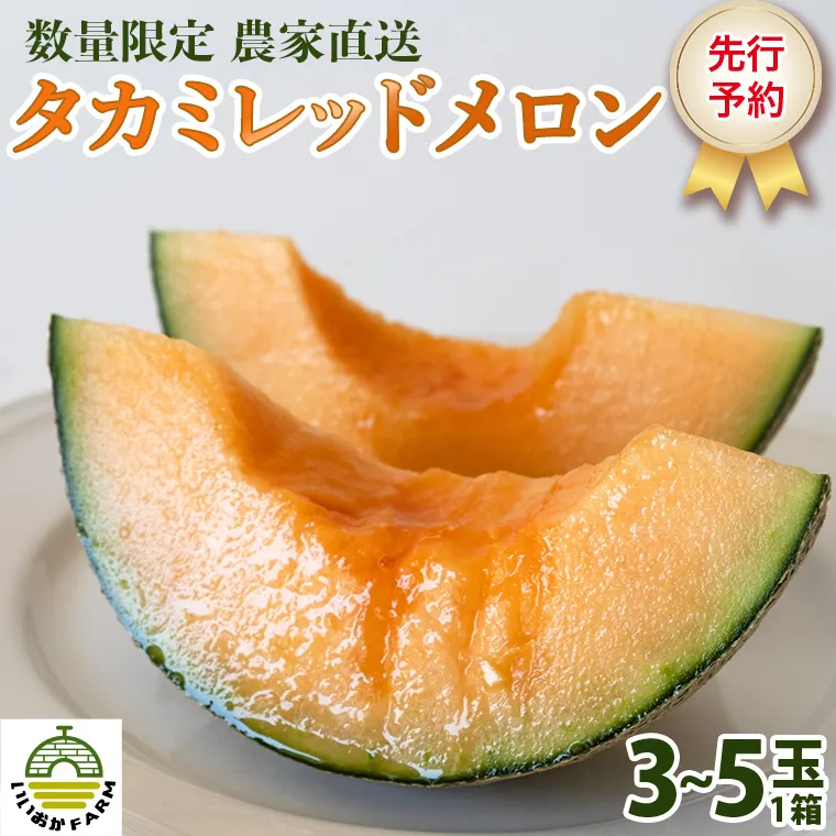 【 令和7年産 】【 先行予約 】 タカミレッドメロン 秀品 1箱 3玉～5玉入り 飯岡 メロン 貴味 タカミ 赤肉 果物 フルーツ 甘い [CG001ya]
