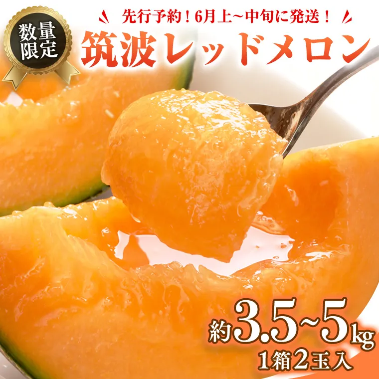 筑波レッドメロン 1箱 2玉 入り（約 3.5kg ～ 5kg ）【2025年6月上旬以降発送】  メロン レッド 赤肉 甘い 期間限定 産地直送 果物 フルーツ [BU001ya]