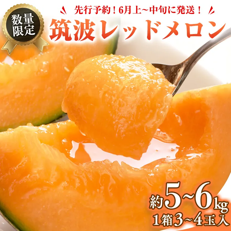 筑波レッドメロン 1箱 3玉 ～ 4玉 入り（ 約 5kg ～ 6kg ）【2025年6月上旬以降発送】 赤肉　数量限定 メロン レッド 赤肉 甘い 期間限定 産地直送 果物 フルーツ [BU002ya]
