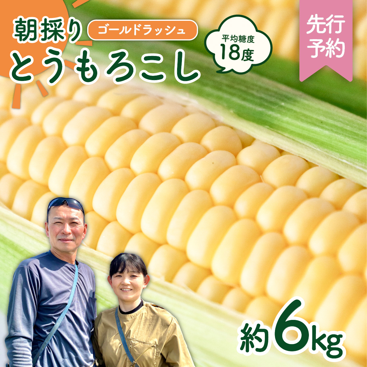 先行予約 2026年6月下旬以降発送 】 【 令和8年産 】 朝採り
