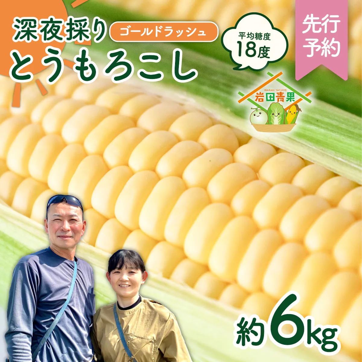 【先行予約 2026年6月中旬以降発送 】 【 令和8年産 】 深夜採り 朝出荷 とうもろこし （ ゴールドラッシュ ） 約 6kg トウモロコシ スイートコーン コーン 野菜 産地直送 期間限定 極甘 岩田さん 昼めし旅 [AX019ya]